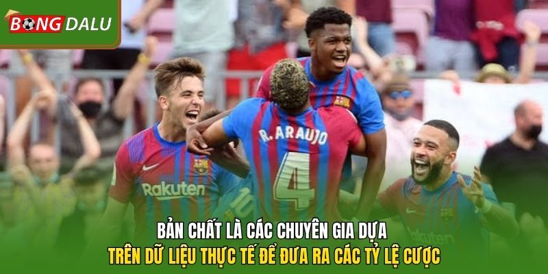 Bản chất là các chuyên gia dựa trên dữ liệu thực tế để đưa ra các tỷ lệ cược