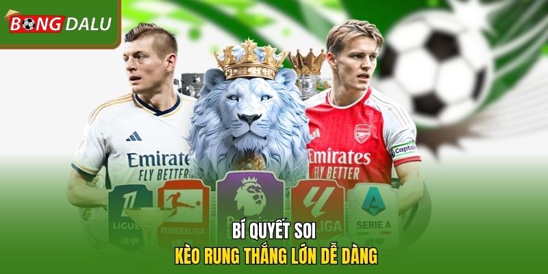 Bí quyết soi kèo rung thắng lớn dễ dàng