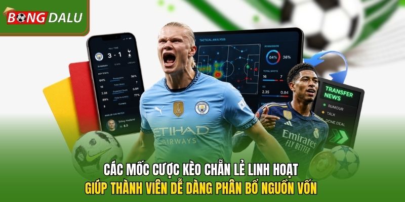 Các mốc cược kèo chẵn lẻ linh hoạt giúp thành viên dễ dàng phân bổ nguồn vốn 