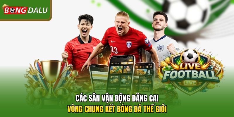 Các sân vận động đăng cai vòng chung kết bóng đá thế giới 
