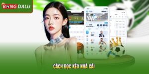 Cách Đọc Kèo Nhà Cái | Nắm Bắt Tỷ Lệ Cược Chỉ Sau 5 Phút 