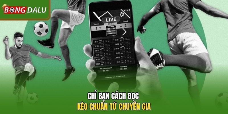Chỉ bạn cách đọc kèo chuẩn từ chuyên gia 