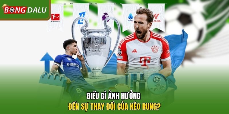 Điều gì ảnh hưởng đến sự thay đổi của kèo rung?