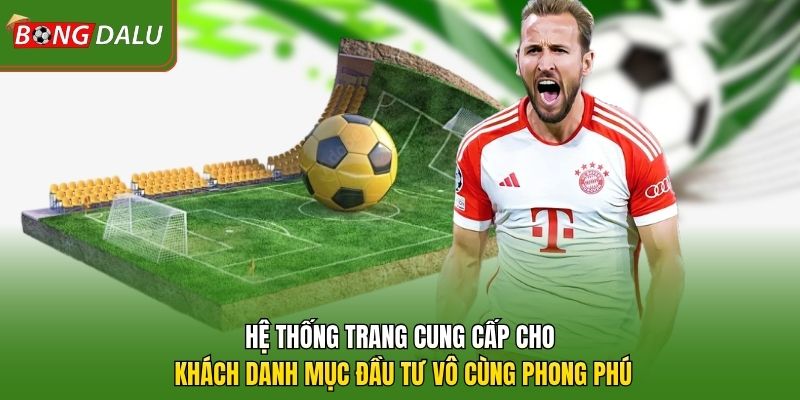 Hệ thống trang cung cấp cho khách danh mục đầu tư vô cùng phong phú