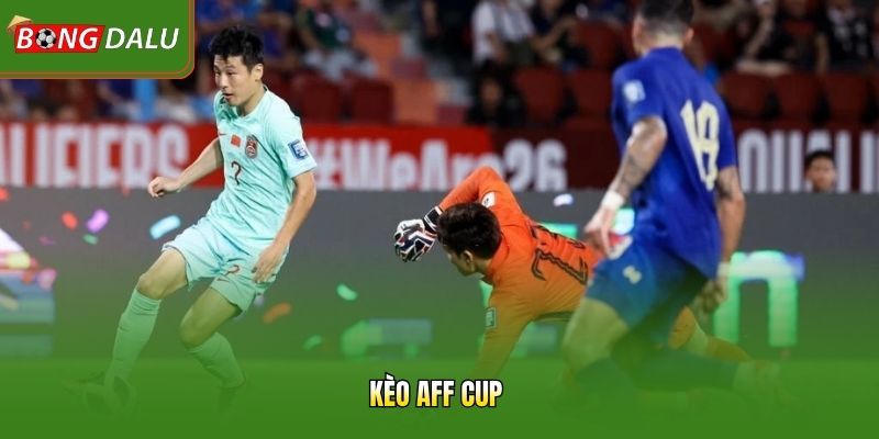 Kèo AFF Cup 2026 – Bongdalu Cùng Những Nhận Định Quan Trọng
