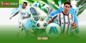 Kinh Nghiệm Soi Kèo Rung Hiệu Quả Thắng Lớn Mỗi Ngày Cho Bạn