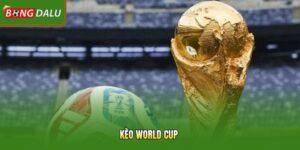Kèo World Cup 2026 – Hướng Dẫn Bạn Đọc Và Phân Tích Chuẩn 