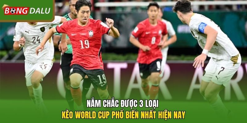 Nắm chắc được 3 loại kèo World Cup phổ biến nhất hiện nay
