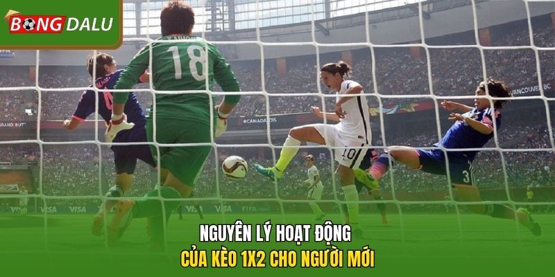 Nguyên lý hoạt động của kèo 1X2 cho người mới