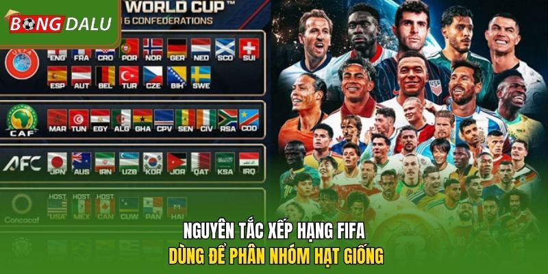 Nguyên tắc xếp hạng FIFA dùng để phân nhóm hạt giống 