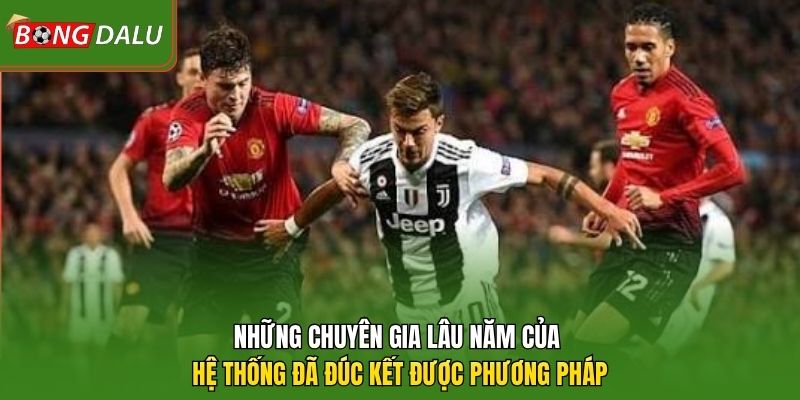 Những chuyên gia lâu năm của hệ thống đã đúc kết được phương pháp