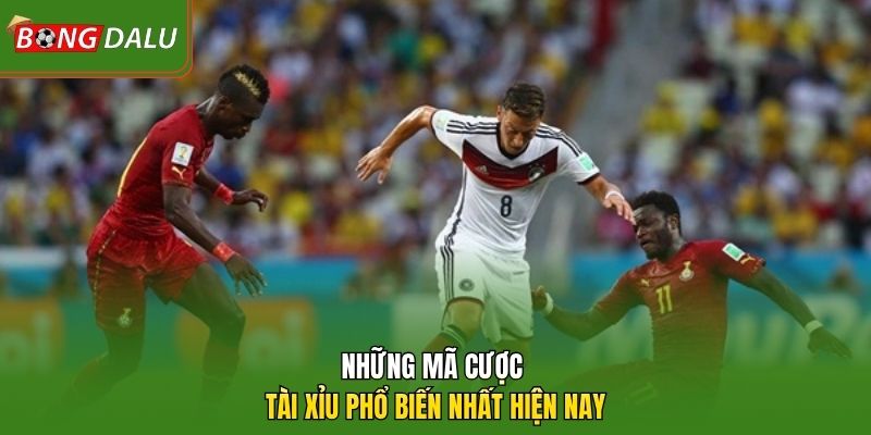 Những mã cược tài xỉu phổ biến nhất hiện nay 