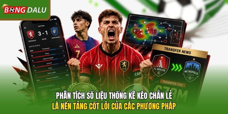 Phân tích số liệu thống kê kèo chẵn lẻ là nền tảng cốt lõi của các phương pháp 