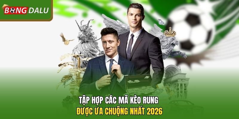 Tập hợp các mã kèo rung được ưa chuộng nhất 2026