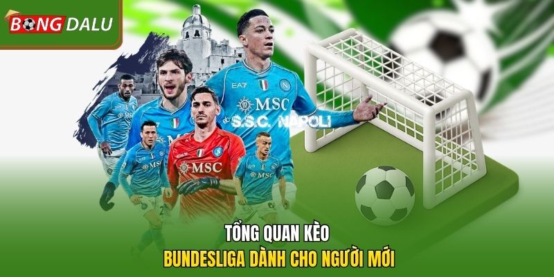 Tổng quan kèo Bundesliga dành cho người mới