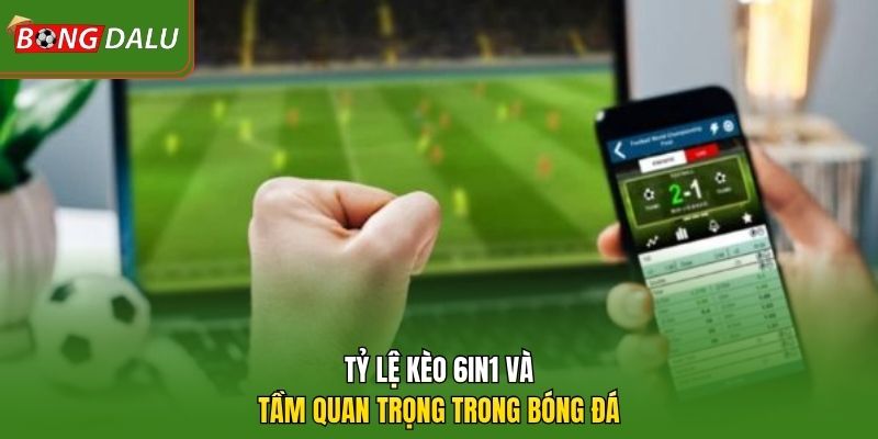 Tỷ lệ kèo 6in1 và tầm quan trọng trong bóng đá