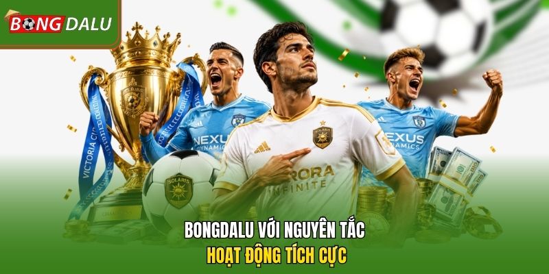 Bongdalu với nguyên tắc hoạt động tích cực